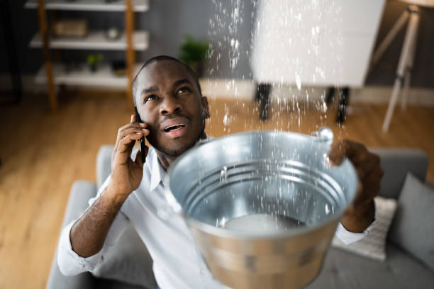 Best Carpet water damage restoration  in Greenville, NC