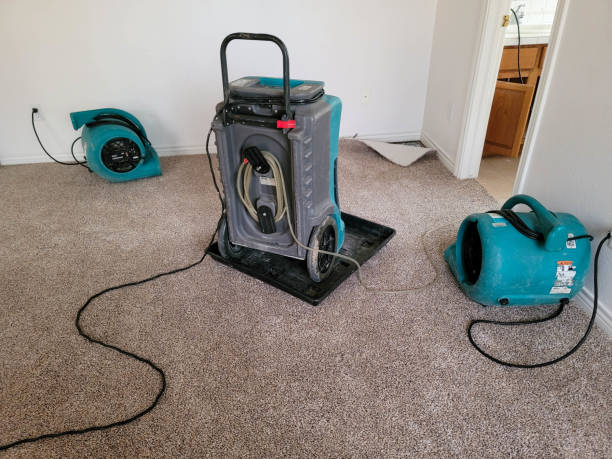 Best Flooded house restoration  in Greenville, NC
