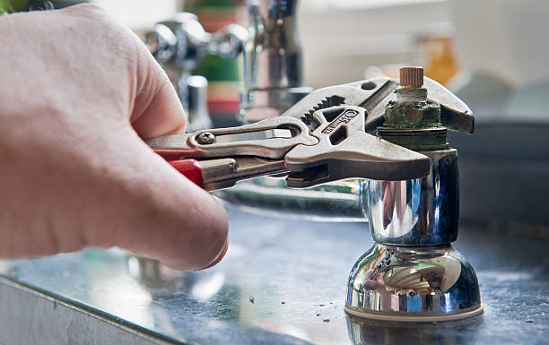 Best Flood damage cleanup  in Greenville, NC