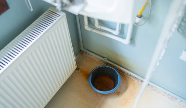 Best Water damage restoration experts  in Greenville, NC